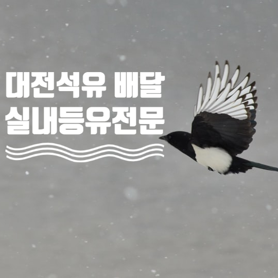  대전 실내등유는 대전석유 배달의 전문가인 저희에게 문의하세요