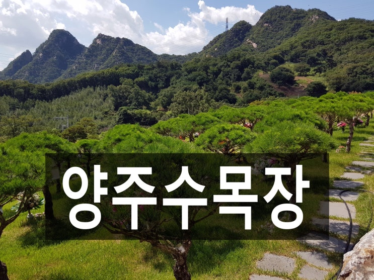  양주수목장 관리가 잘 되어 보기좋은곳!
