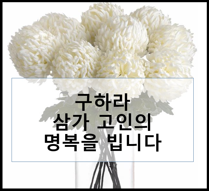  구하라 사망원인에 대해 말해본다. 악플러
