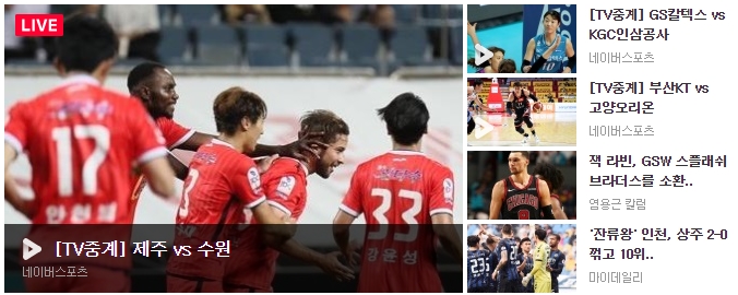 스포츠 종합 스포츠 종합