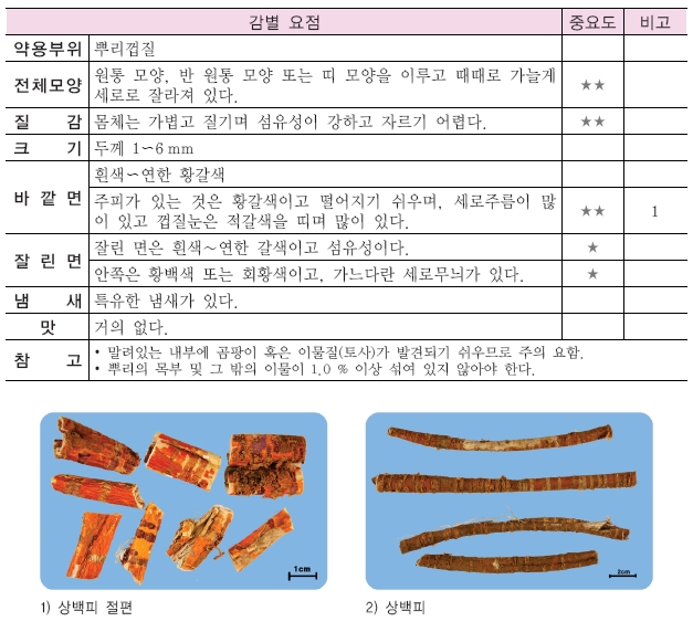 [약초세상]약초감별 - 상백피(뽕나무뿌리껍질)