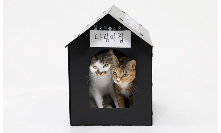  [와디즈] 길냥이 도와주기 프로젝트 착한펀딩