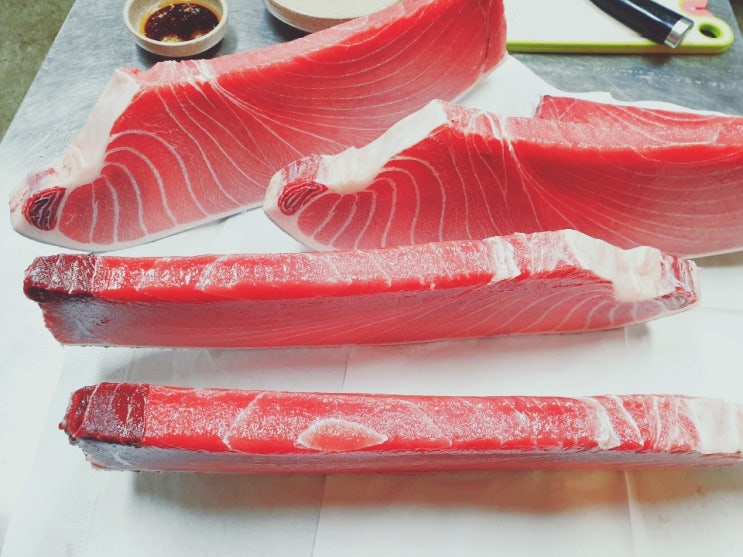  냉동참치도매 참다랑어오도로 (혼마구로 뱃살)