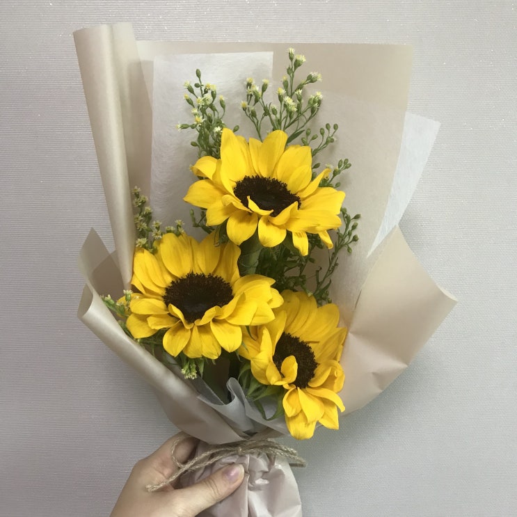  서프라이즈 선물과 겨울왕국2 관람