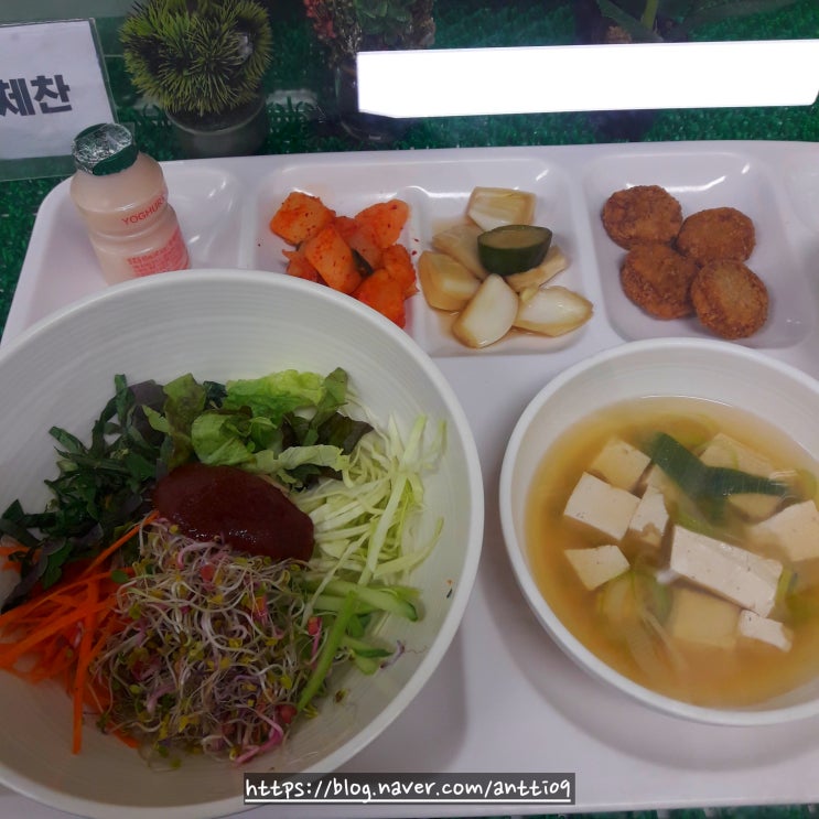 건강 식단  새싹 참치 비빔밥