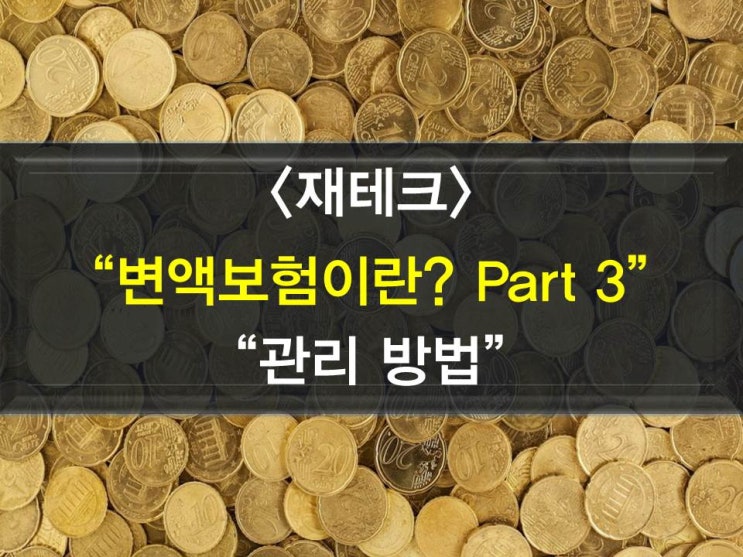  변액보험의 관리방법(투입비율,적립금이전)