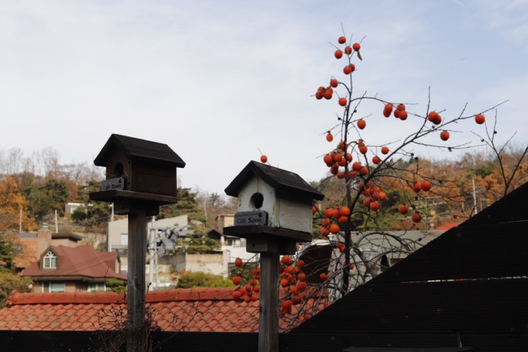  서울에 #가볼만한곳 #부암동#평창동 #