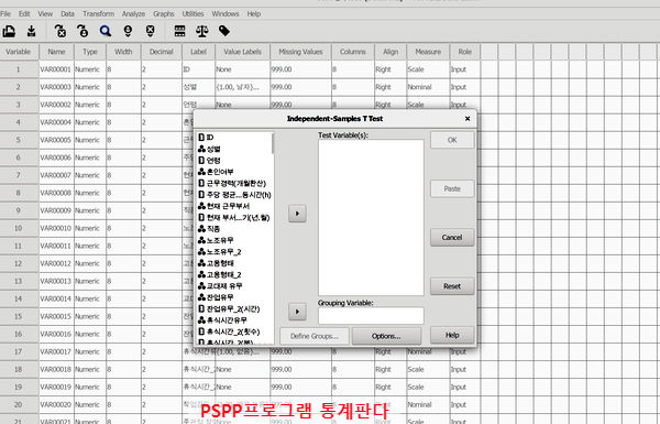  [SPSS 대신 PSPP프로그램] 독립표본 t검증(t-test) 돌려 보기