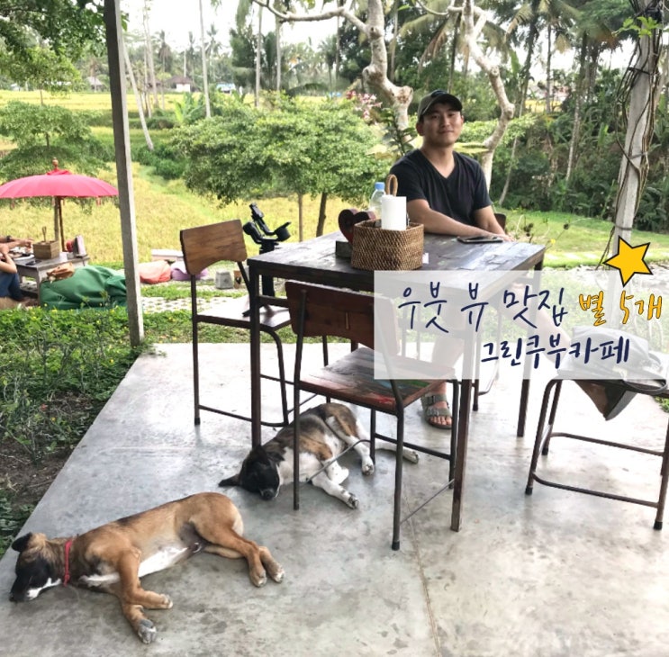  발리 우붓 맛집 뜨갈랄랑 그린쿠부카페 (메뉴/가격 추천) Green kubu cafe