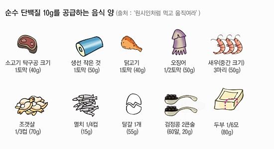  대전 중구 대흥동 선화동 은행동 헬스장 가온헬스 단백질 과다섭취의 문제점