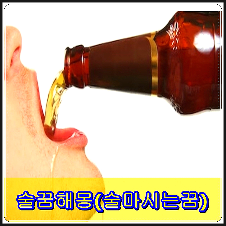  술꿈해몽 기분좋다~