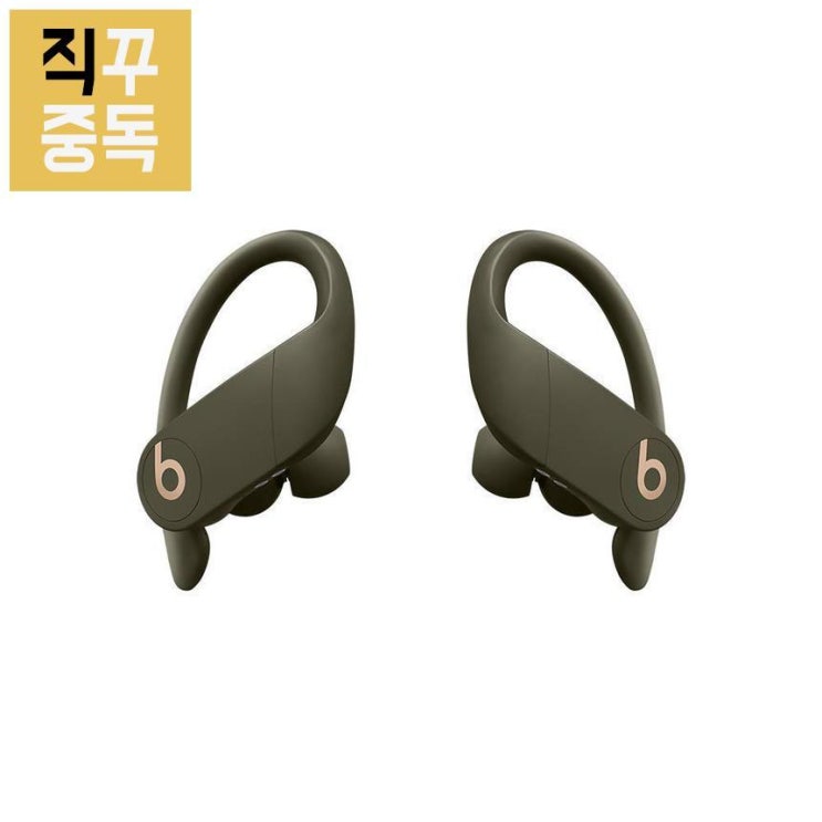  이거다! 파워비츠 프로 무선 이어폰 Powerbeats Pro 모스, 단품