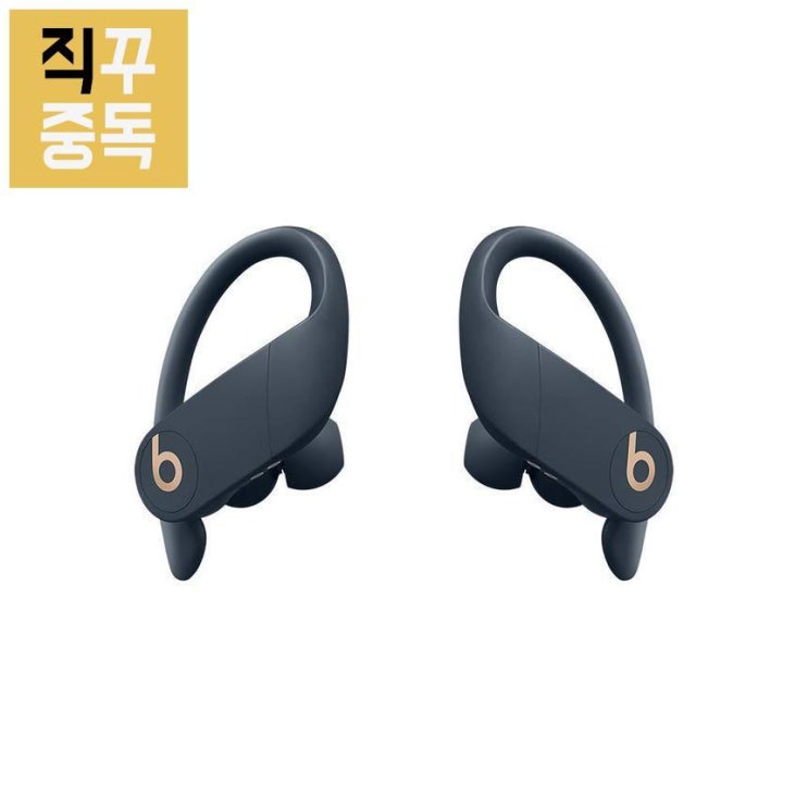 이거다! 파워비츠 프로 무선 이어폰 Powerbeats Pro 네이비, 단품