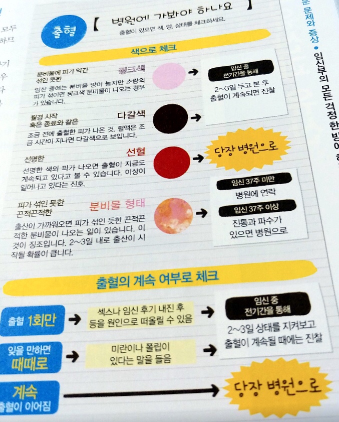  [임신 29주] 잘 때 식은 땀, 배처짐, 분홍냉, 29주 배사진