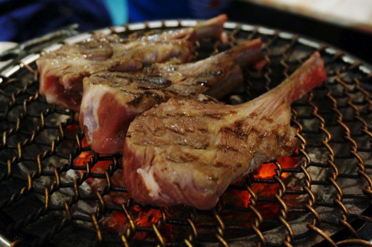  서판교 맛집 양드림식당 양갈비