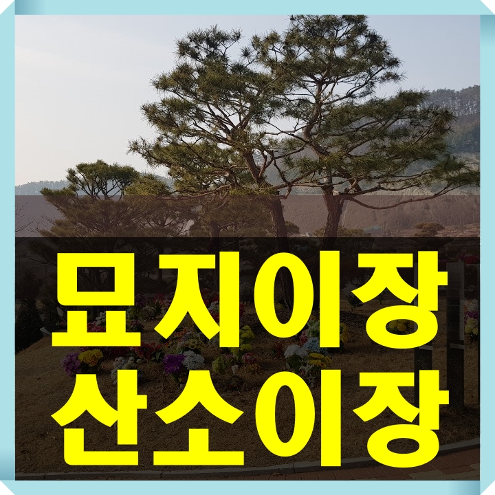  묘지이장&산소이장 비용.절차 함께 알아보세요.