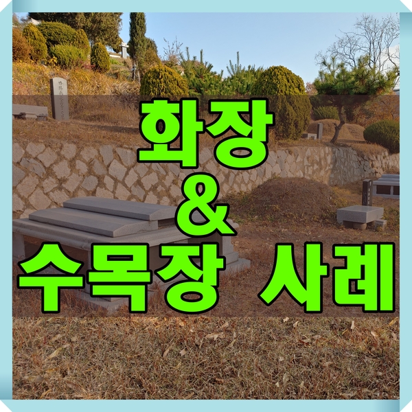  화장(火葬) 후 수목장(樹木葬)으로 모셔드렸습니다.