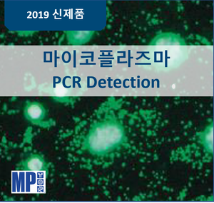 [프로모션] 마이코플라즈마 PCR Detection Kit