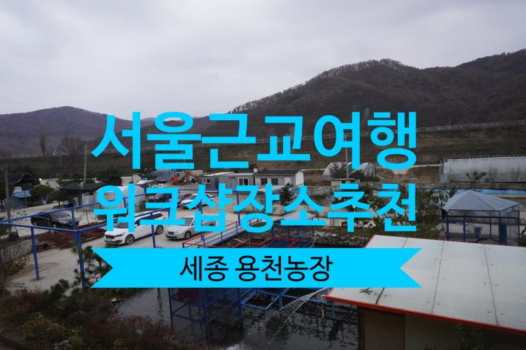  서울근교 워크샵추천 용천농장 세종시 낚시터로 입소문난곳
