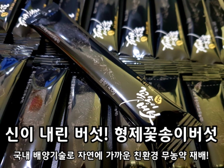 꽃송이버섯 효능 형제꽃송이버섯 연말선물로 괜찮아요. 꽃송이버섯 효능 형제꽃송이버섯 연말선물로 괜찮아요.