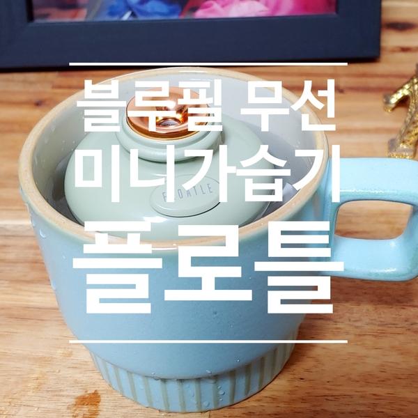  미니가습기 추천 :) 블루필 무선 미니가습기 플로틀