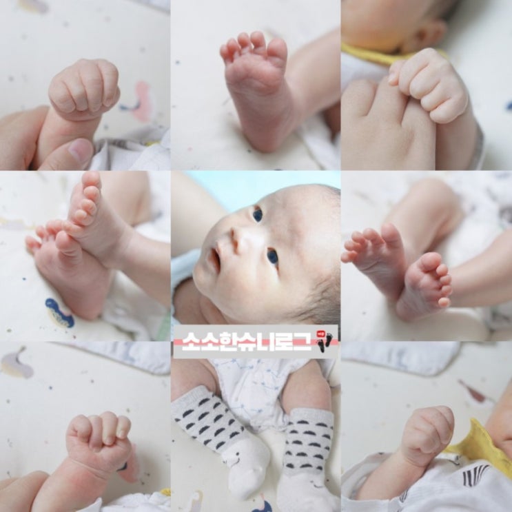  생후31일~생후40일, 슈니 자람