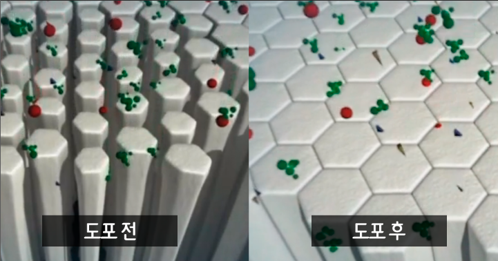  [건강]그래서 불소가 뭐야, 불소의 대한 모든 것
