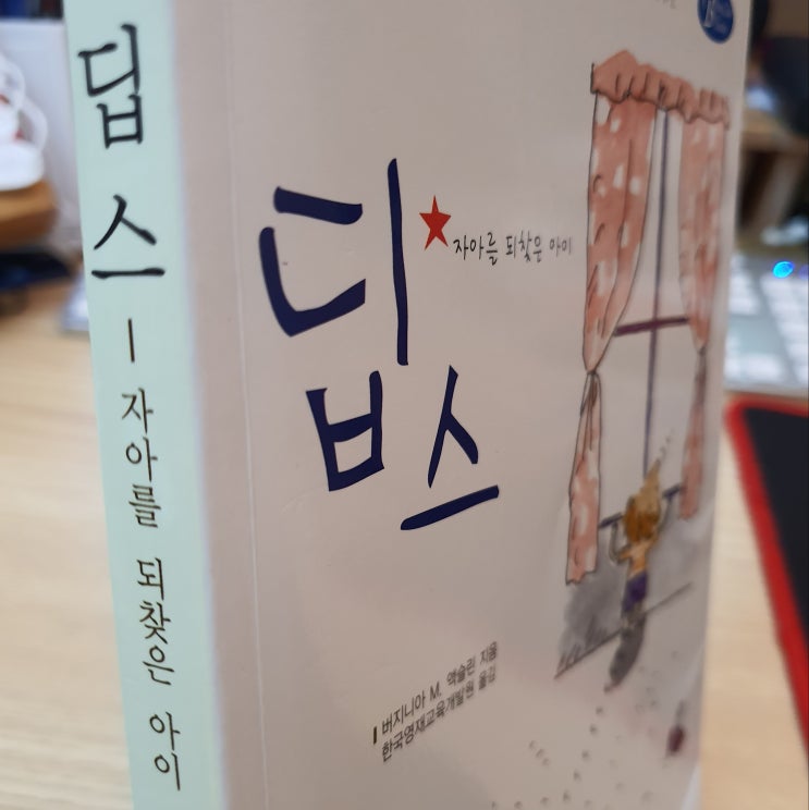  딥스 책을 읽고