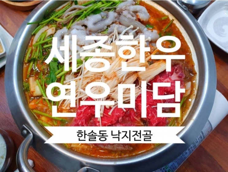  [세종 한우] 연우미담 한솔동 낙지불고기 전골 맛집이네요.