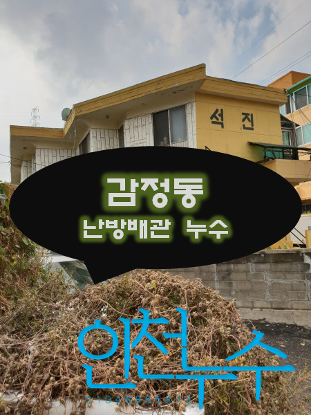  감정동 난방배관에서 누수가 되는 것 같아요.