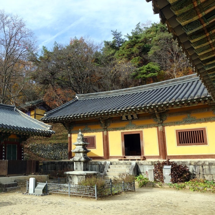  #191126 1박 2일 안동 여행 - 세계문화유산, 봉정사