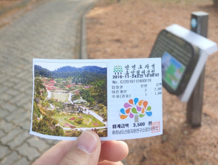  안면도 가을 여행 중 만난 저렴한 자연휴양림과 수목원 방문 후기