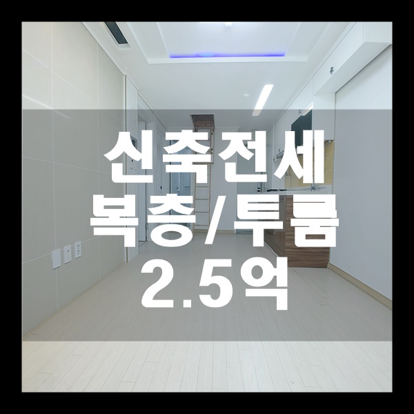  [신촌투룸임대]신축투룸전세,신혼부부투룸,신촌부동산