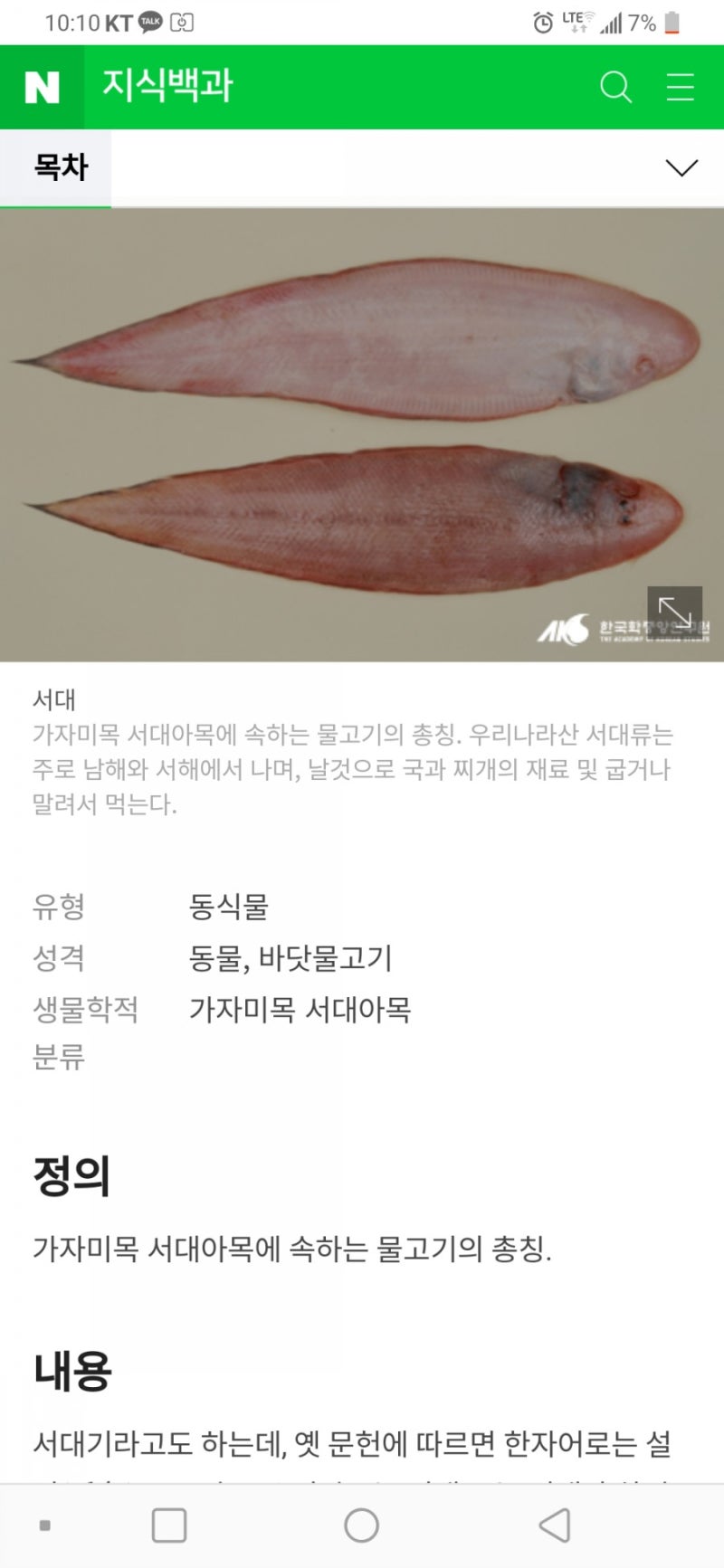 참서대와 개서대 및 서대의 차이 및 종류 : 네이버 블로그