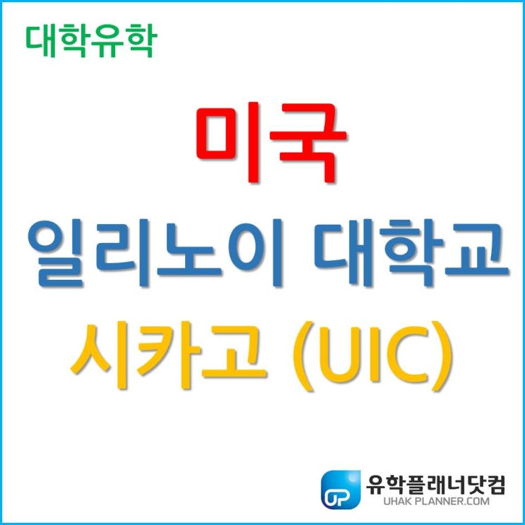 [미국 대학 유학] 시카고 경영학 전공 1위, 일리노이 대학교 시카고 UIC