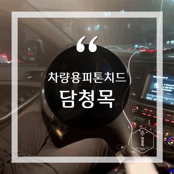  차에 냄새 잡기 차량용 피톤치드 담청목으로!