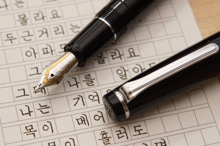  사랑이 지나가면 (세일러 프로기어 은장 21k ef닙)