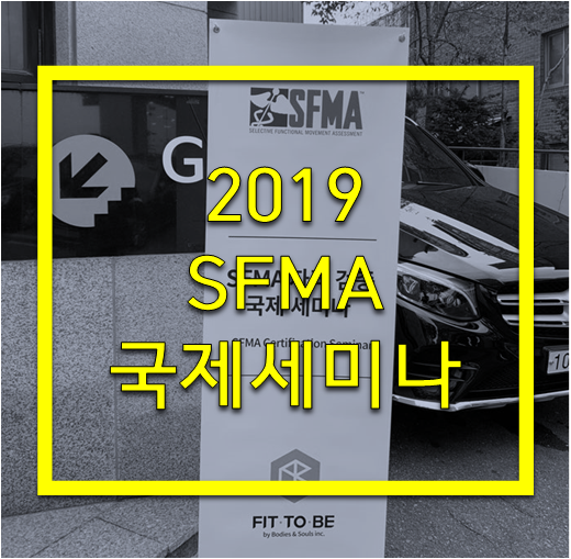 2019 SFMA 국제 세미나 후기