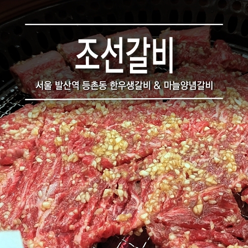  [발산역 : 조선갈비] 한우 생갈비 & 한우 마늘양념갈비