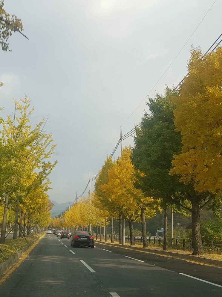 2019년 가을 보내기-대구 팔공산