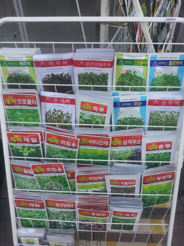  콩팥(신장)에 좋은 음식, 콩팥에 나쁜 음식?