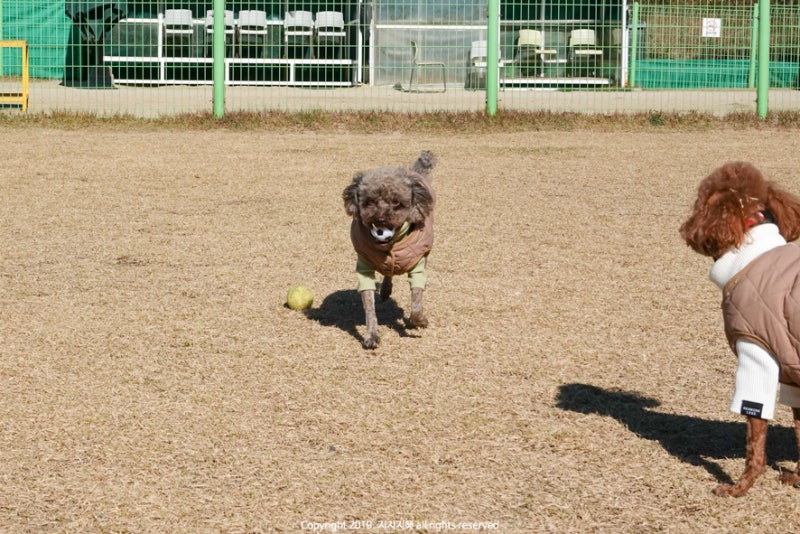 사진 7