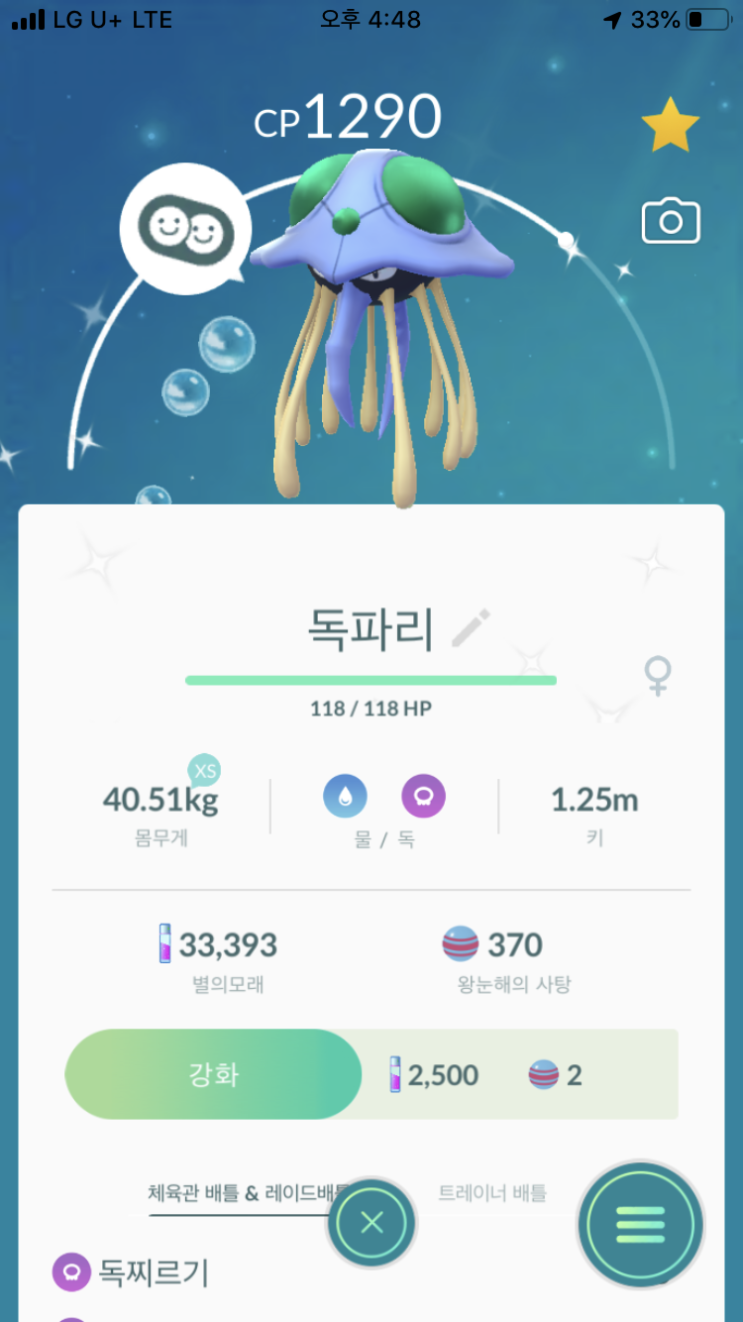  독파리 이로치