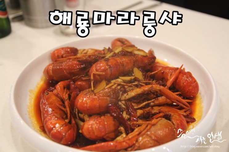  [강남역 맛집] 강남역 11번 출구 맛집 해룡마라룽샤