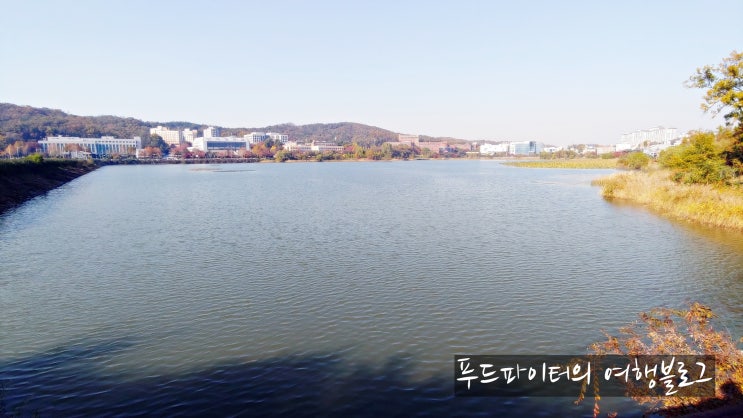  [천안 12경] 단대호수로 더 유명한 천호지, 데이트 코스로 추천