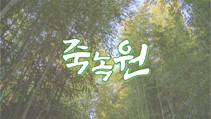  온 가족이 모여 담양 대나무 구경 어떠신가요? :: 담양 죽녹원 (Travel Blog_TB)