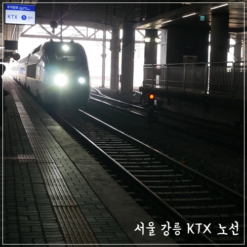  서울 강릉 KTX노선 철도청에서 자세히 알려주네요