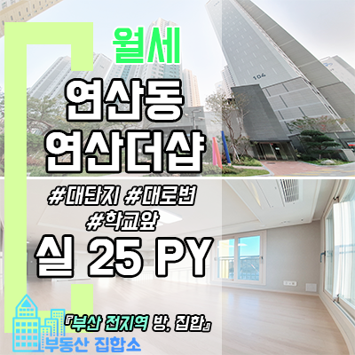 연산더샵 아파트 임대 : 연산동 포룸 월세 연산더샵 아파트 임대 : 연산동 포룸 월세