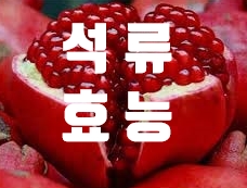  여성 갱년기 증상 완화에 좋은 석류효능