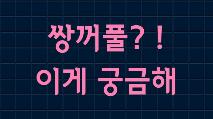  [Dr. 김] 쌍꺼풀 이게 궁금해